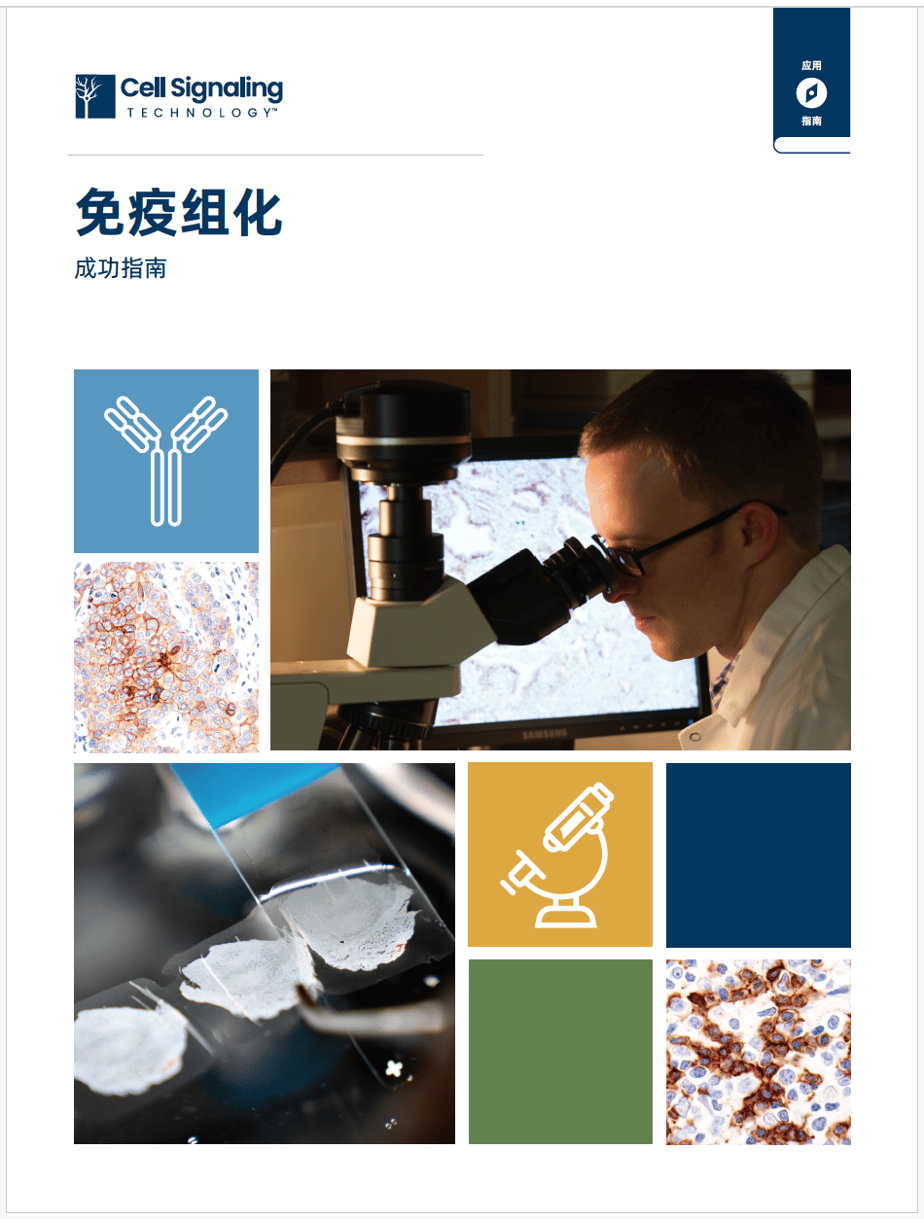 免疫组化成功指南