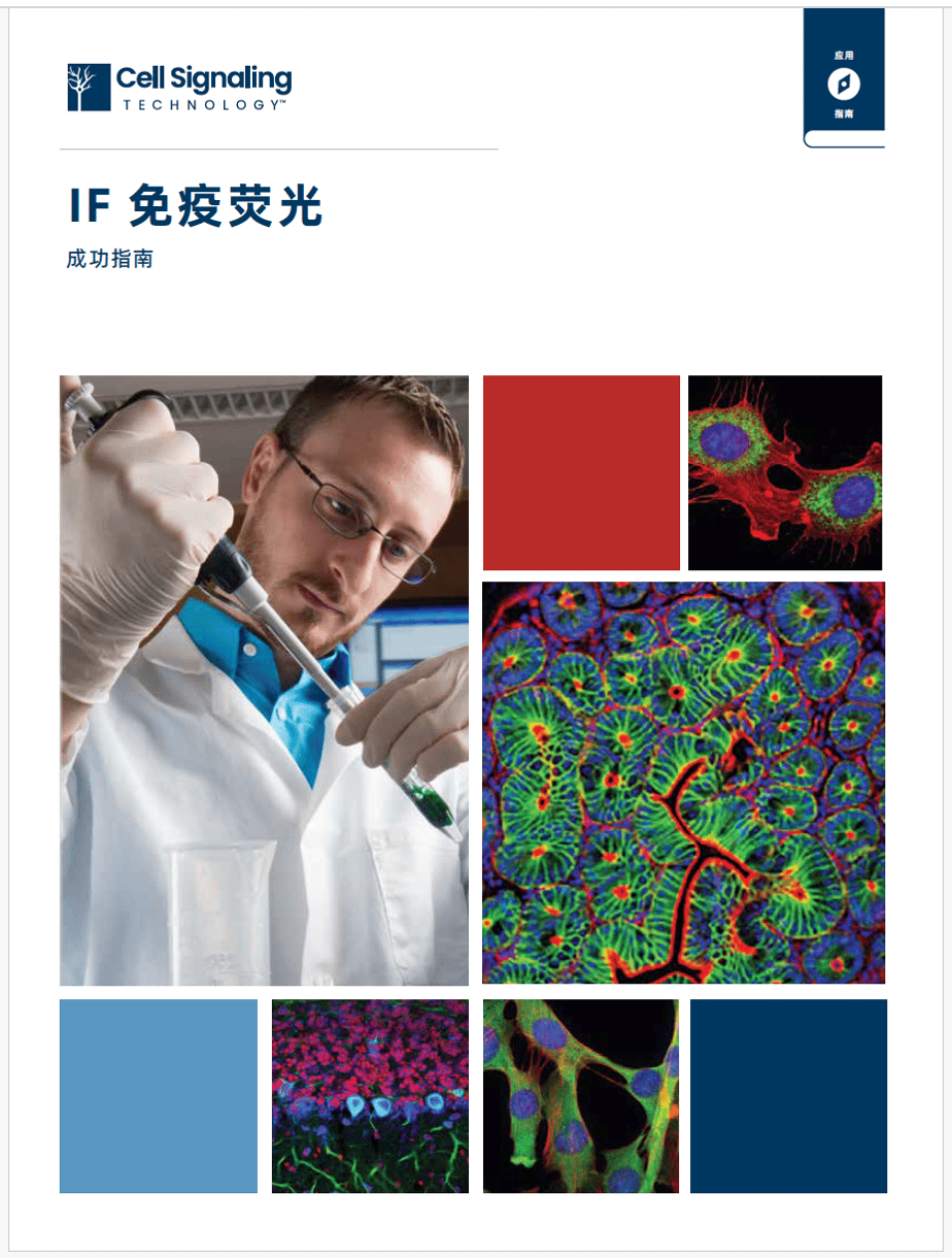 免疫荧光成功指南