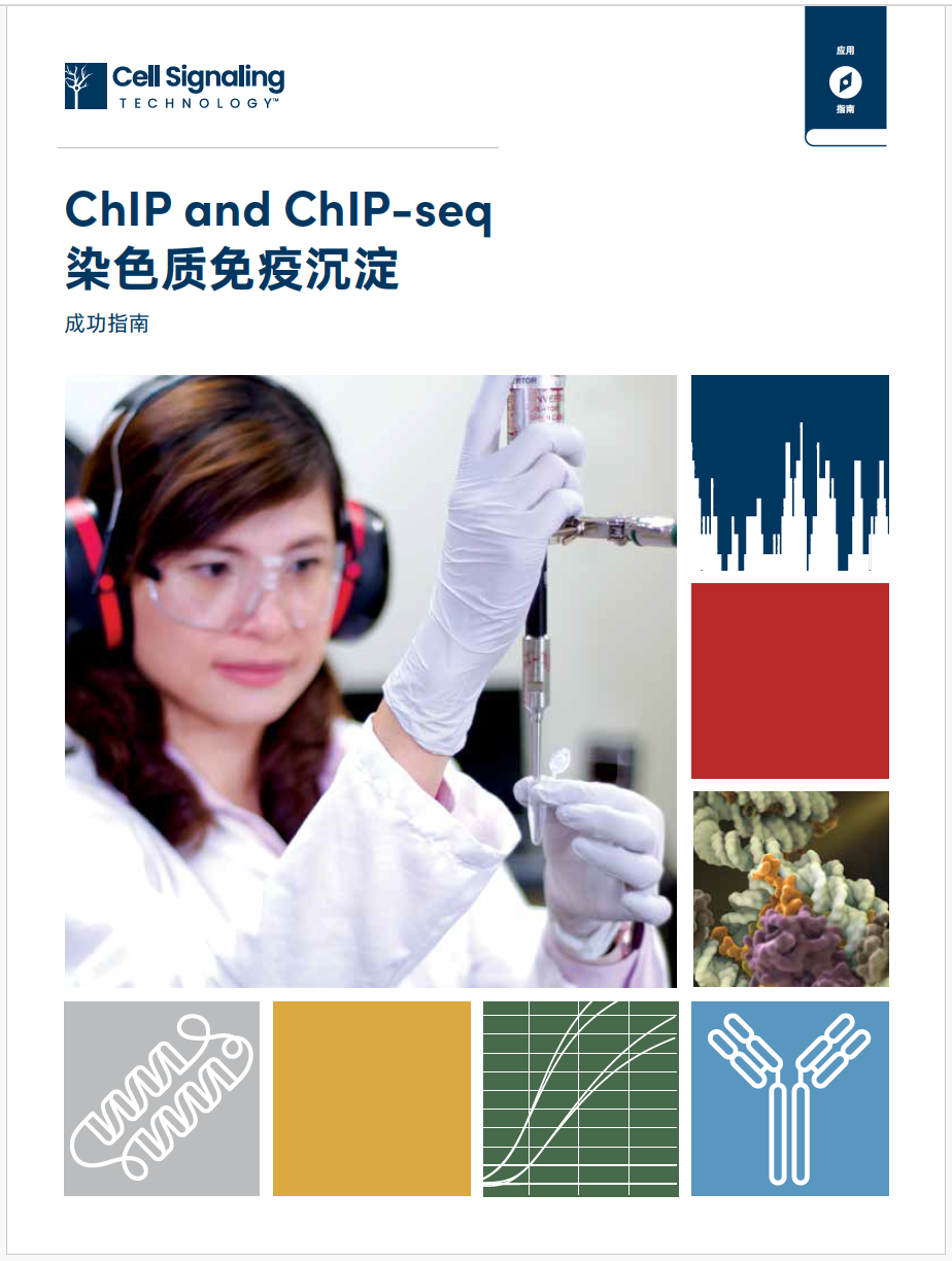 染色质免疫沉淀成功指南