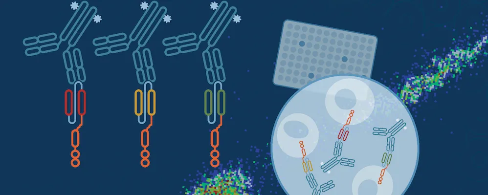 A diagram of three specific antibodies bound to chimeric antigen receptors, targeting cells in a well, overlaid on a multi-well plate.
