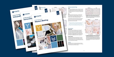 25-JRY-54300_600x300