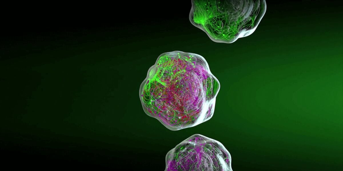3D scientific illustration of fluorescently labelled cells showing biomarker expression for multiparameter flow cytometry analysis.