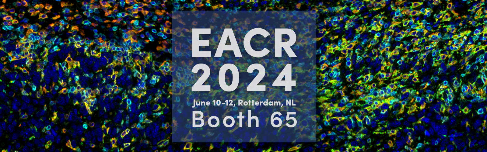 Text reads EACR 2024, June 10-12, Rotterdam, NL, Booth 65. Data shows SignalStar™ multiplex immunohistochemical analysis of paraffin-embedded GL-261 syngeneic tumor. 