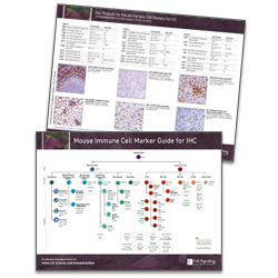 Mouse Immune Cell Marker Guide for IHC