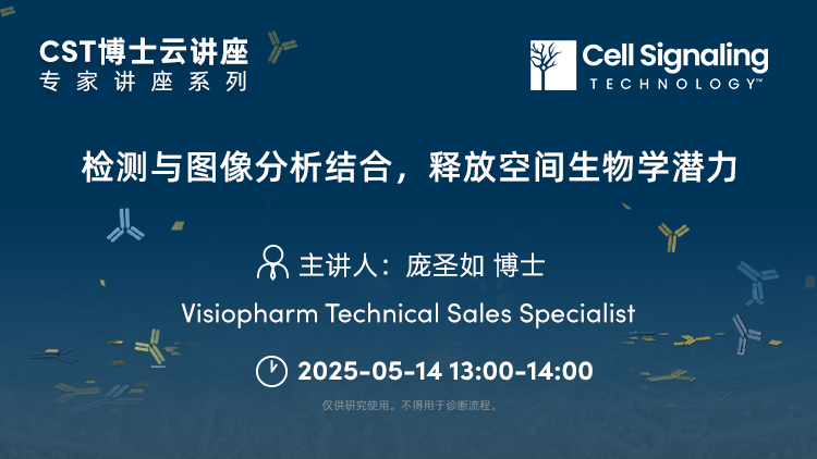 检测与图像分析结合，释放空间生物学潜力