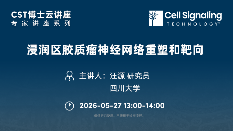 浸润区胶质瘤神经网络重塑和靶向