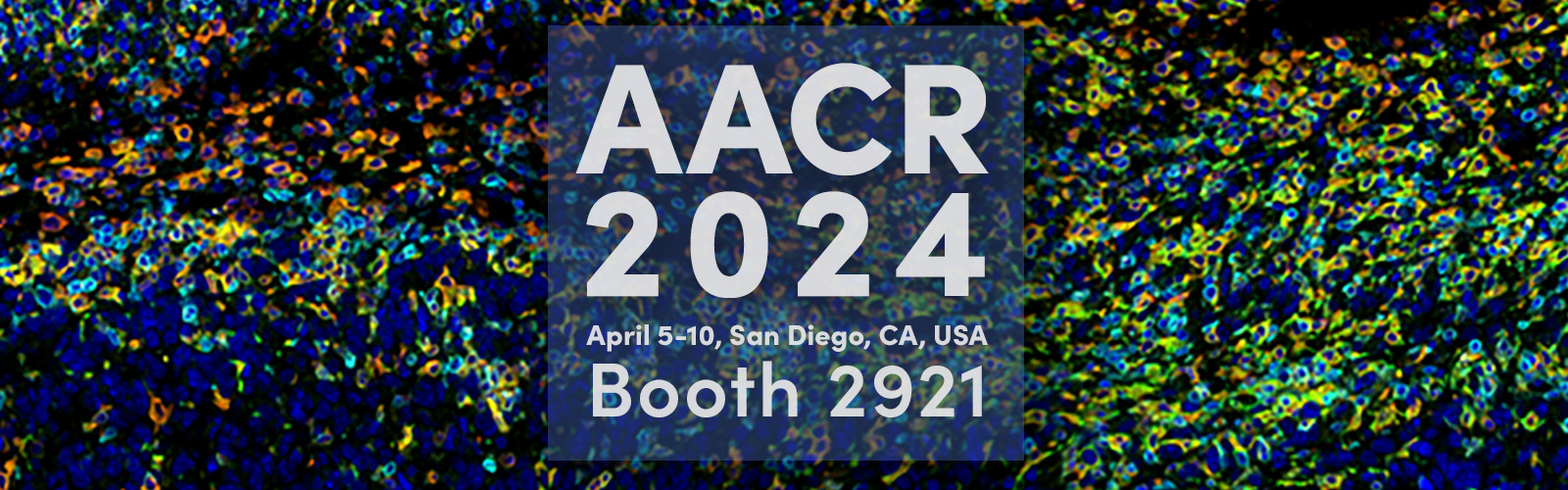 AACR 2024, April 5-10, San Diego, CA USA, Booth 2921. Data shows SignalStar™ multiplex immunohistochemical analysis of paraffin-embedded GL-261 syngeneic tumor. 